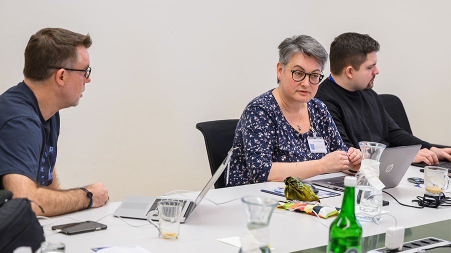 INDEED (INtervertebral Disc EnginEereD) project 