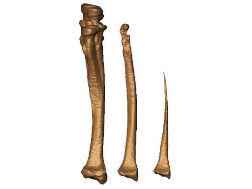 LCP_MetaDiaphyseal_Vol_DR_Plate_7