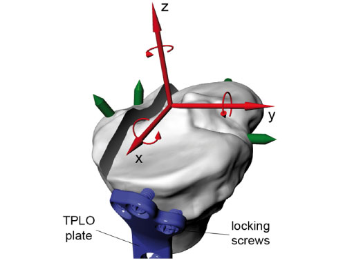 Tibia_Plateau_Leveling_Osteotomy_Plate_new_6