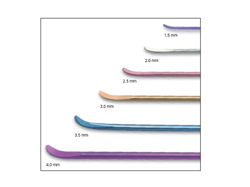 ElasticNailing_TEN_1