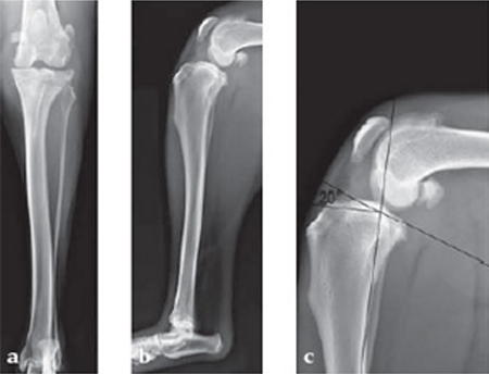 TPLOSystem_case1_Fig1abc