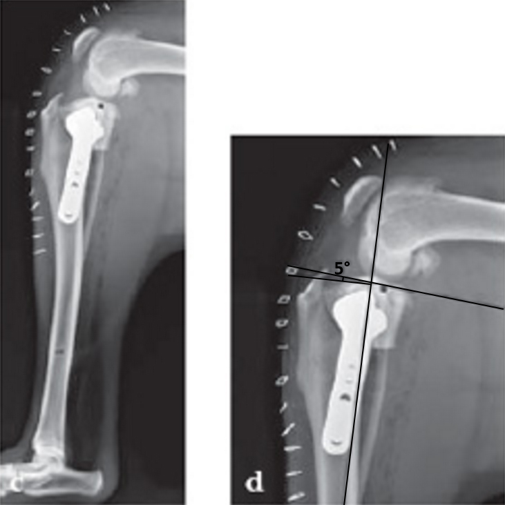 TPLOSystem_case1_Fig3cd