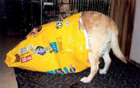 TPLOSystem_case1_Fig5