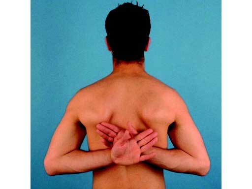 LCPSuperiorAnteriorClavicle_10