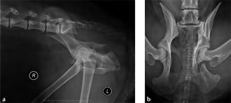 3-5mmLC-DCP_and_LCP_Fig2ab