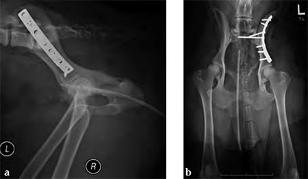 3-5mmLC-DCP_and_LCP_Fig4ab