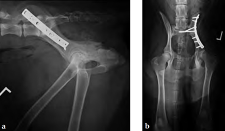 3-5mmLC-DCP_and_LCP_Fig5ab