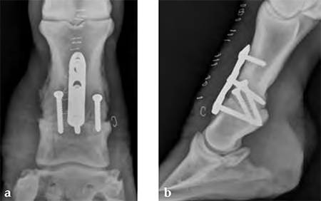 4-5mmLCPnarrowandbroad_Fig3ab