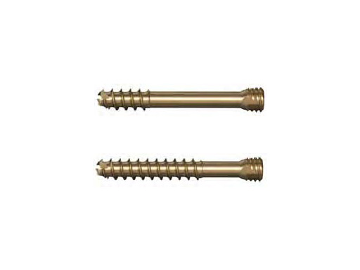 HeadlessCompressionScrew4-5mmand6-5mm_4