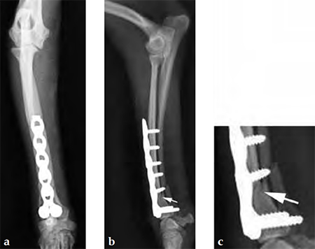 VetLCPNotchedHeadT-Plate_Fig3abc