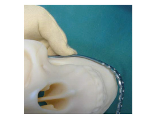 34-sterile-artificial-skull-02