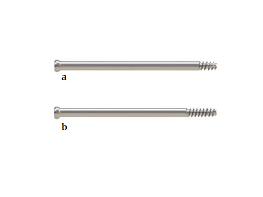 SCFE-Screw-System-05