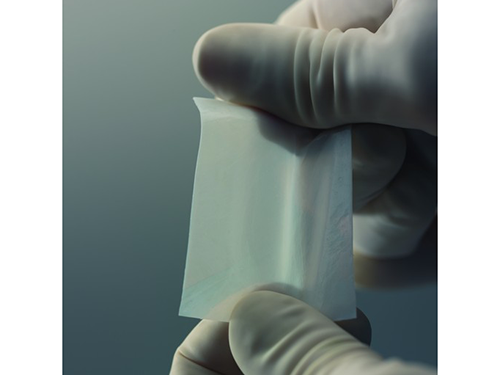 DeSyn_SynthCell_62-N Synthecell_4a