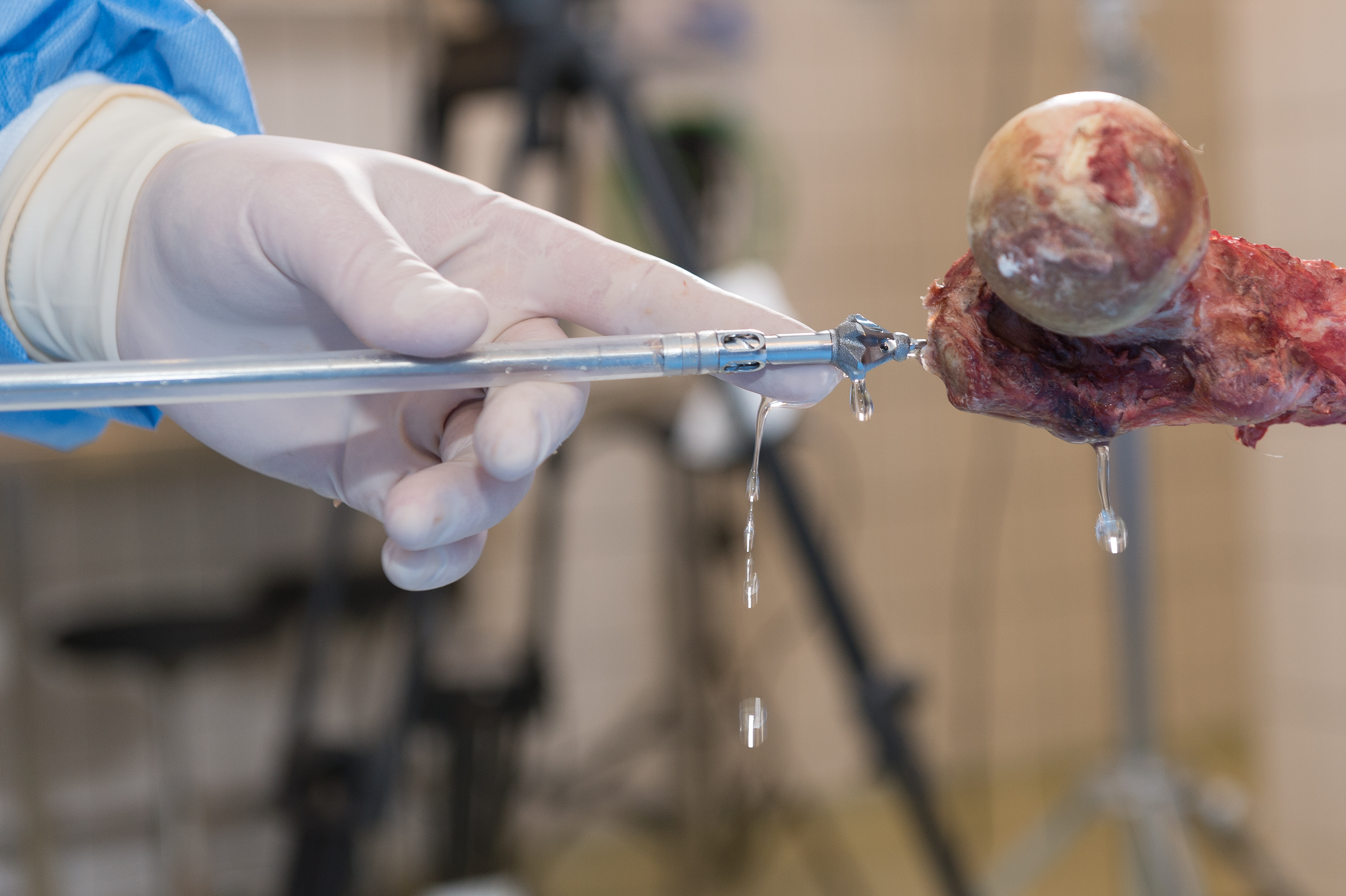 Fig 3 AOTK_RIATF_wet_lab_May_2016_sRGB_D4A9225