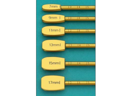 PLIF-Intervertebral-Disc-Ex