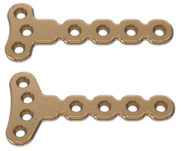 Fig 3b 7- and 8-hole T Plate