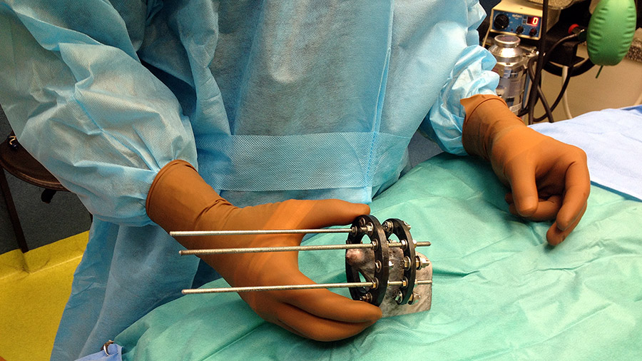 Cat Pooh Vladimir Zlatinov