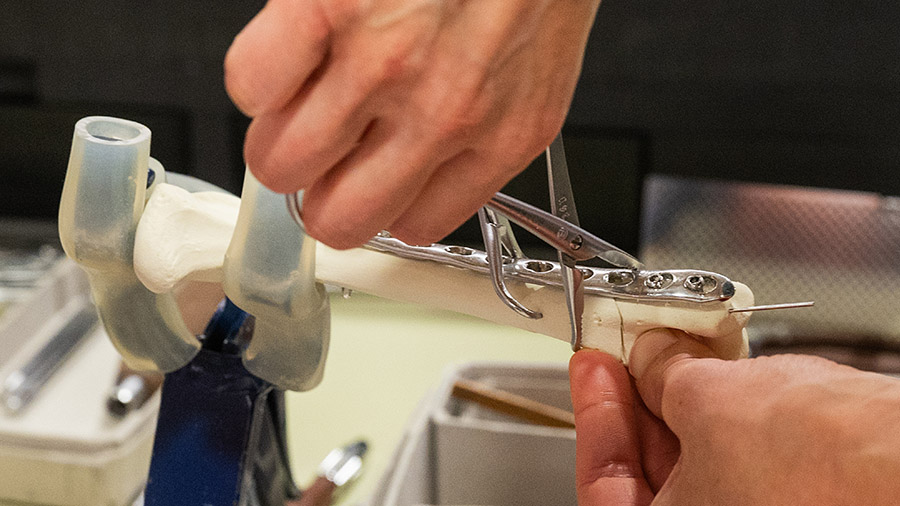 3D printed bone model