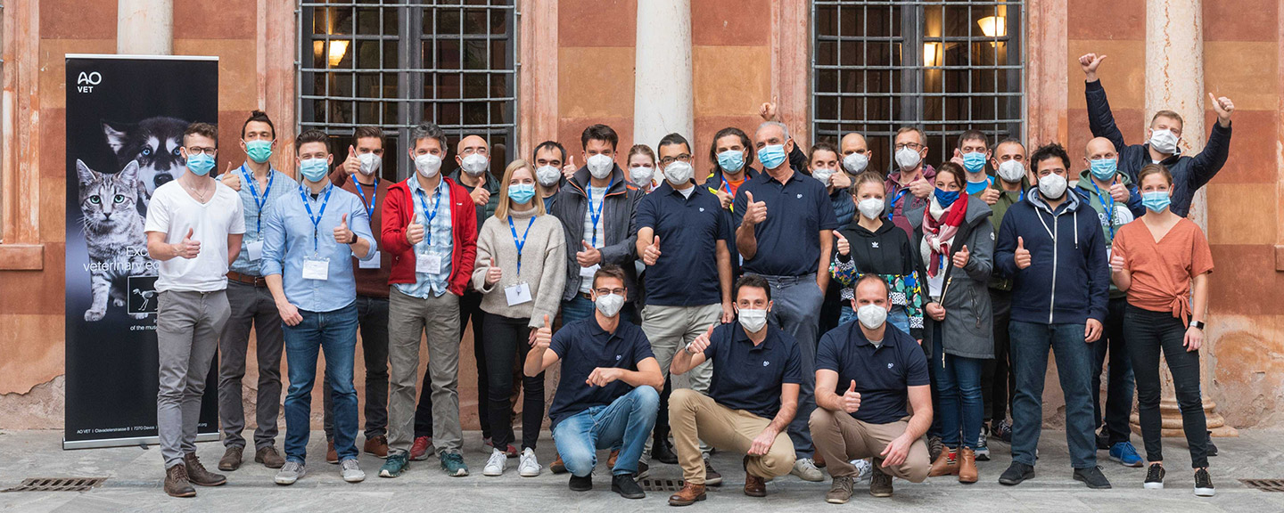 Cremona course group