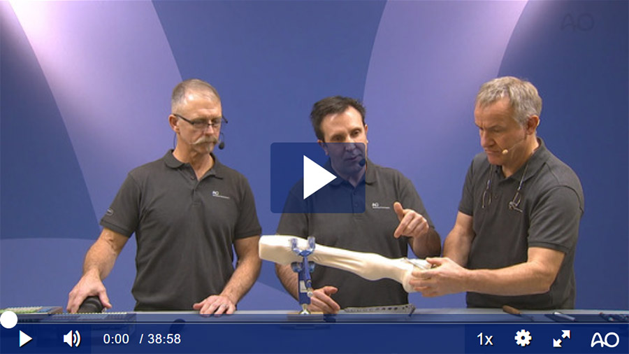 AO TC Meet the Experts Vet