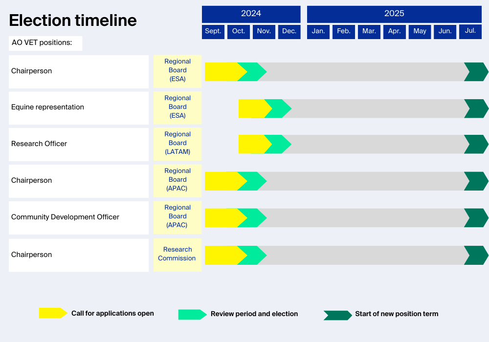 Election timeline